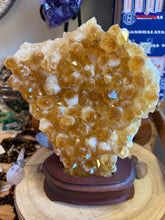 Citrine Cluster in Wooden Stand SKU 24909