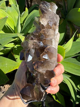 Smoky Quartz Cluster in Stand SKU 26629