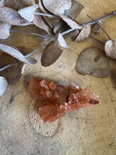 Aragonite Sputnik SKU 24423