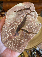 Thunder Egg Agate SKU 25088