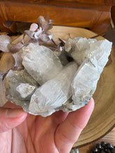 Apophyllite Cluster SKU 24338