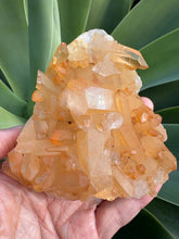 Tangerine Quartz Cluster SKU 26632