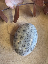 Dendritic Opal Palm Stone SKU 25598