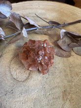 Aragonite Sputnik SKU 24606A