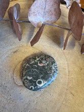 Crinoid Jasper Smooth Stone SKU 25467A