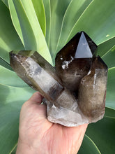 Smoky Quartz Large Cluster SKU 26189