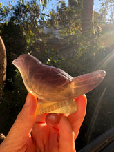 Yellow & Purple Fluorite Bird Carving SKU 26615YPF