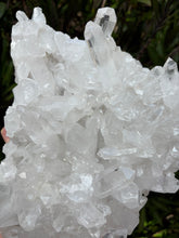 Clear Quartz Cluster SKU 24542