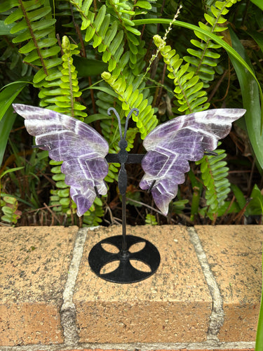 Chevron Amethyst Winged Butterfly SKU 25315B