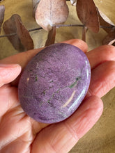 Serpentine & Stichtite Palm Stone SKU 25745