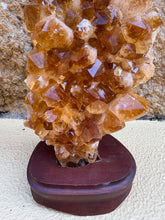 Citrine Cluster in Wooden Stand SKU 24533