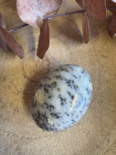 Dendritic Opal Palm Stone SKU 25600