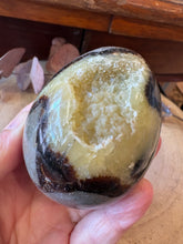 Septarian Egg SKU 27093