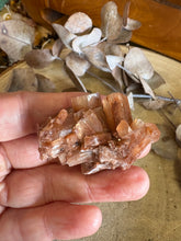 Aragonite Sputnik SKU 24423A