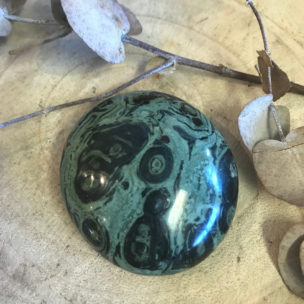 Kambaba Jasper Palm Stone SKU 23308