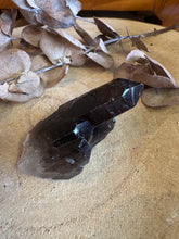 Smoky Quartz Point Cluster SKU 24754