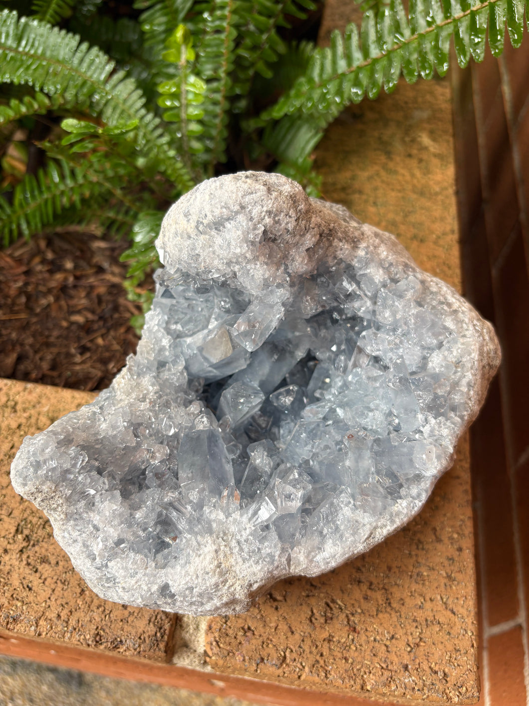 Celestite Geode Cluster SKU 26188