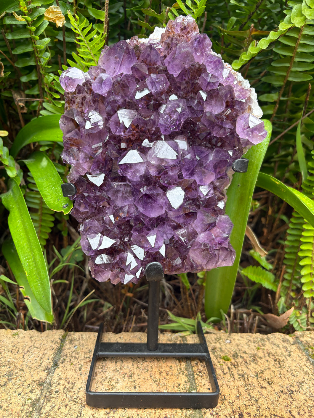 Amethyst Cluster in Metal Stand SKU 25362