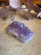 Amethyst Small Cluster SKU 21376