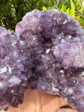 Amethyst Standing Cluster SKU 24523