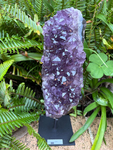 Amethyst Cluster in Stand SKU 24531