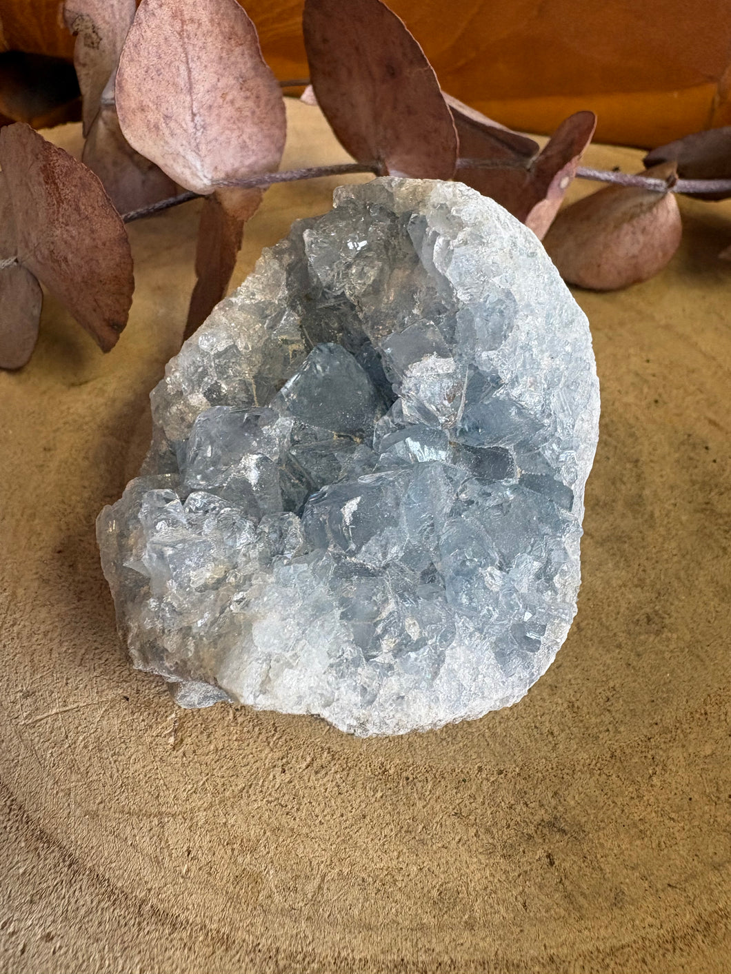 Celestite Cluster SKU 26183