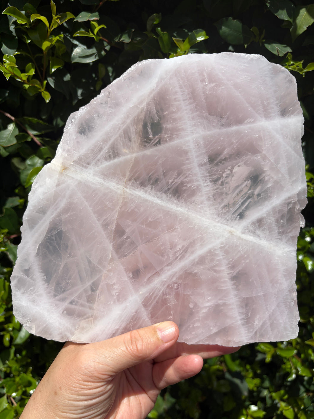 Rose Quartz Slab SKU 25677
