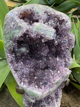 Amethyst Cluster in Stand SKU 26289