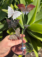 Ocean Jasper Butterfly Display Stand SKU 26779