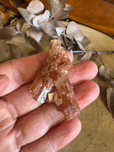 Aragonite Sputnik SKU 24423