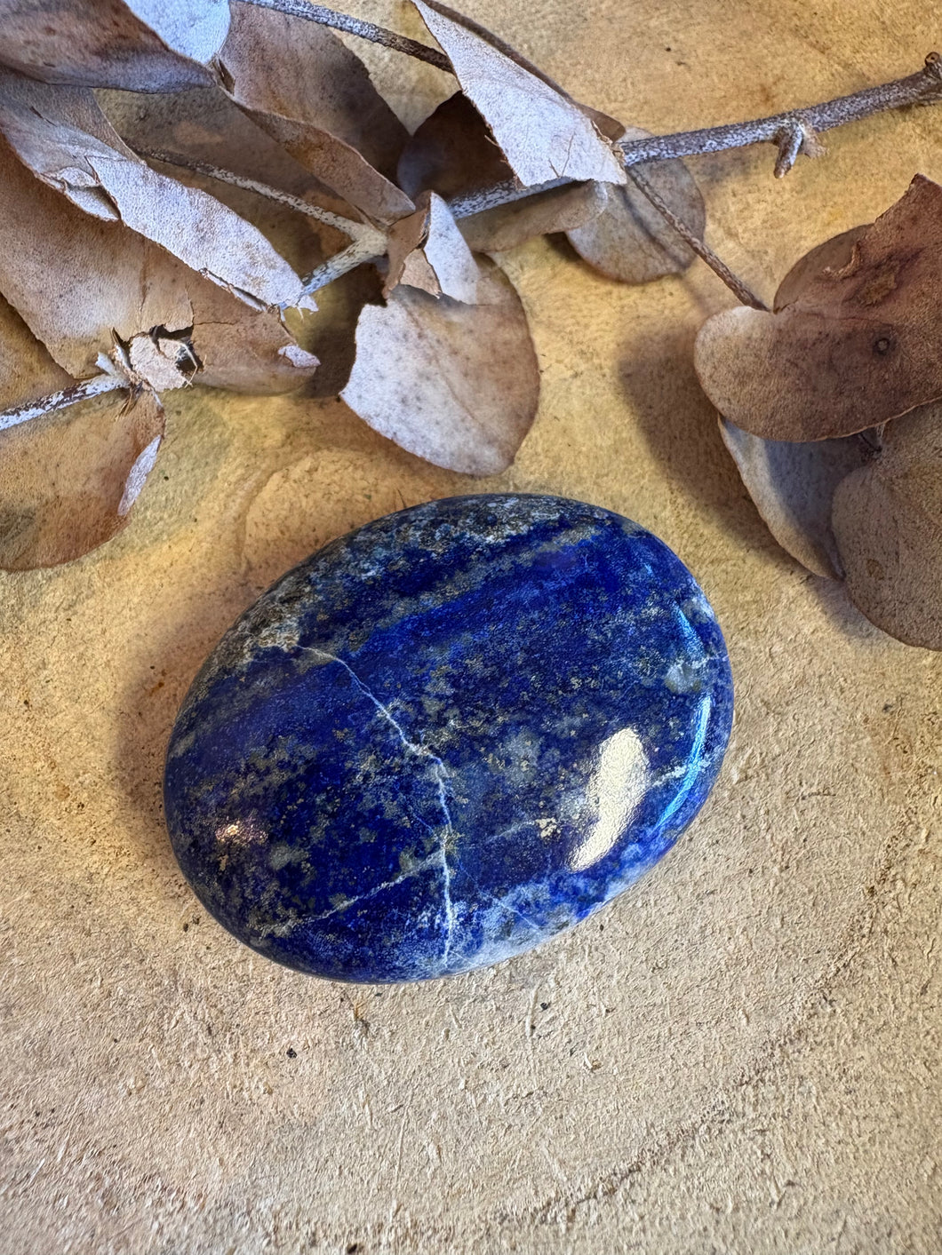 Lapis Lazuli Palm Stone SKU 24991