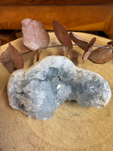 Celestite Cluster SKU 25969