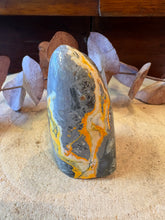 Bumblebee Jasper Freeform SKU 26795