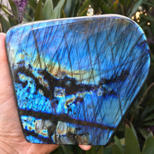 Labradorite Freeform SKU 23450