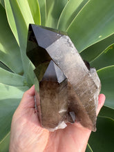 Smoky Quartz Large Cluster SKU 26189