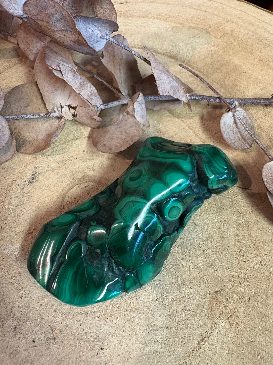 Malachite Polished Piece SKU 24819