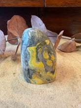 Bumblebee Jasper Freeform SKU 26796