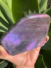 Purple Labradorite Freeform SKU 25052