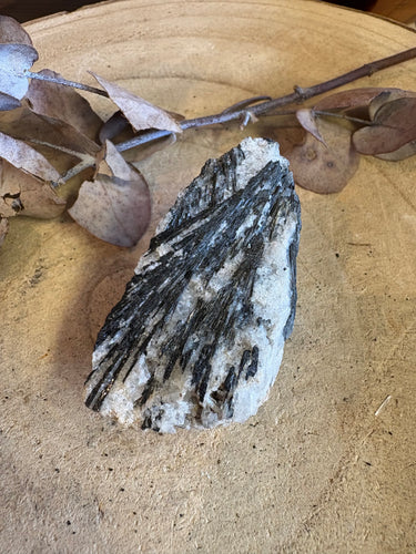 Black Tourmaline in Matrix Specimen SKU 24965