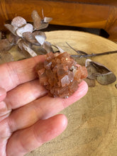 Aragonite Sputnik SKU 24606A
