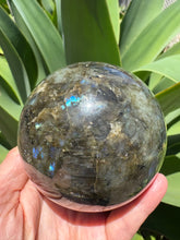 Labradorite Large Sphere SKU 23902