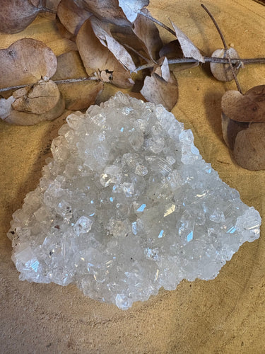 Apophyllite Cluster SKU 24824A