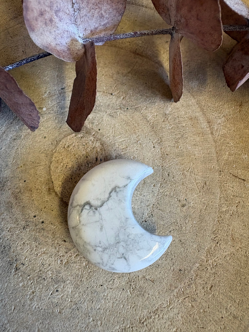 Howlite Moon SKU 25716D