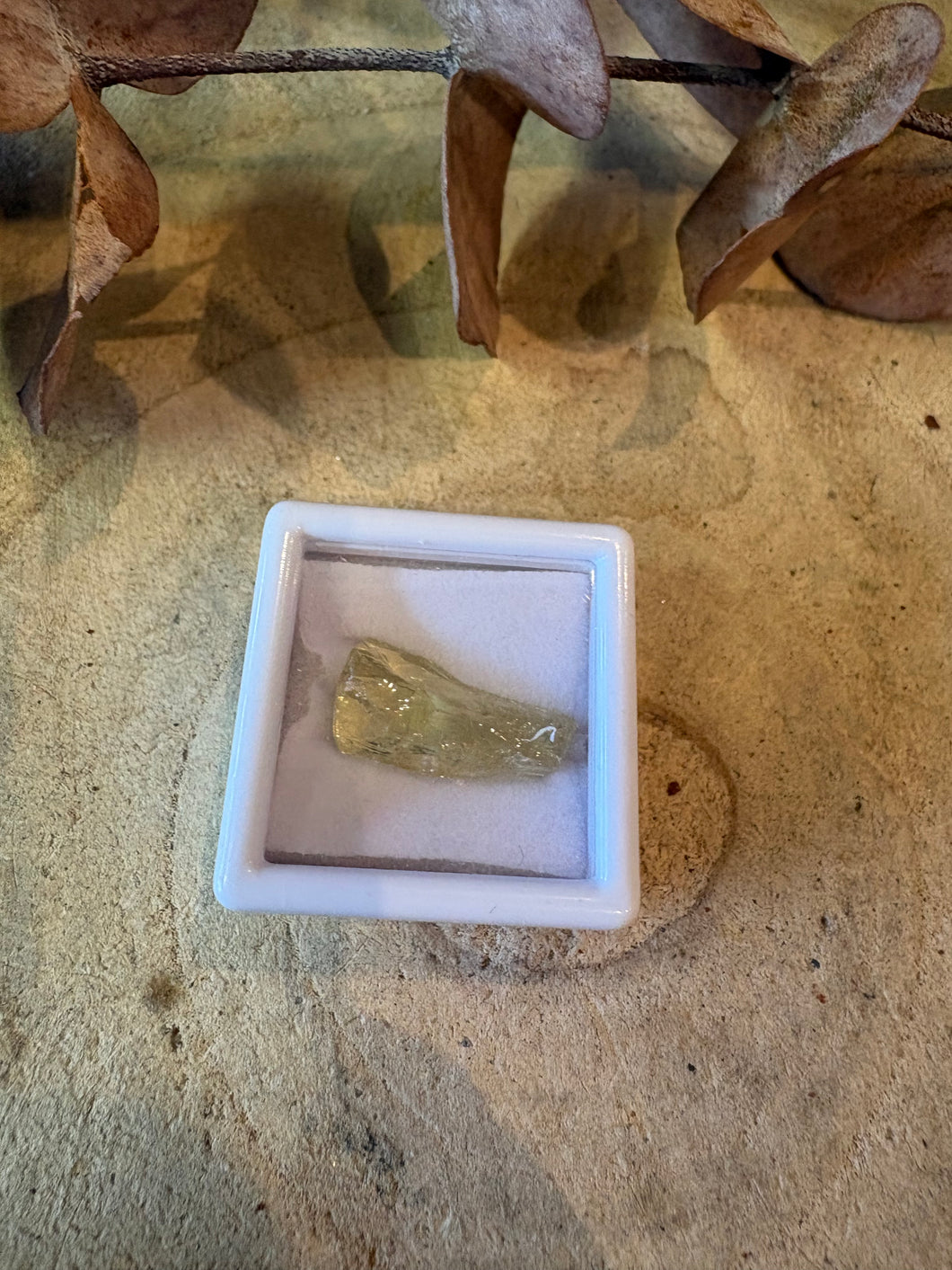 Golden Apatite Specimen SKU 26824