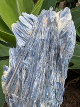 Blue Kyanite Cluster on Stand SKU 26264