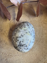 Dendritic Opal Palm Stone SKU 25597