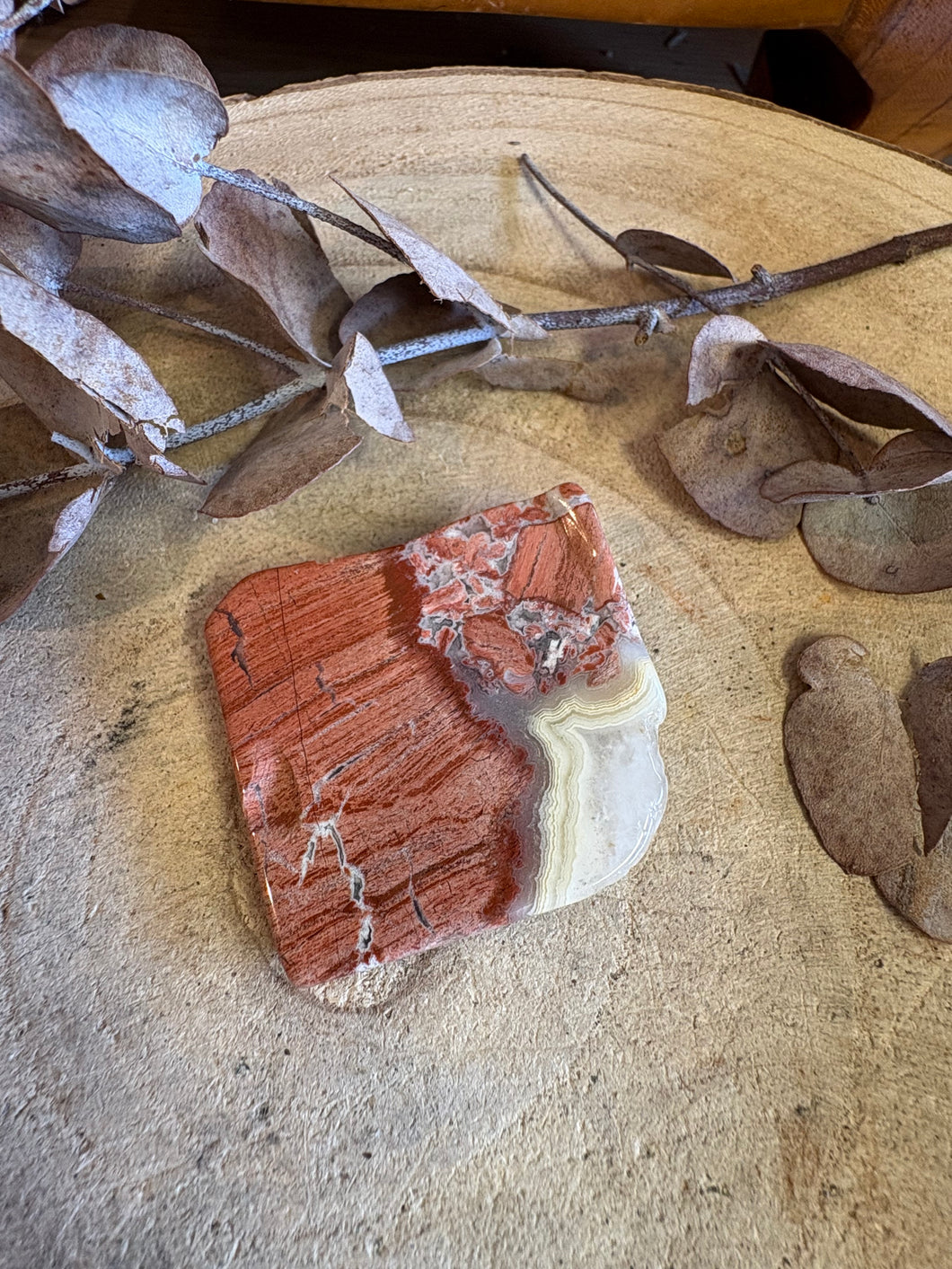 Red Silver Leaf Jasper SKU 23984B