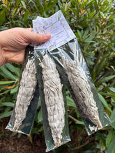 White Grandfather Sage Sticks