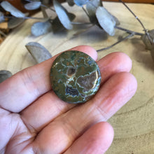 Rhyolite Smooth Stone SKU 22550