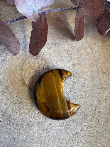 Tiger Eye Moon SKU 25717B